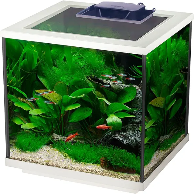 The Perfect Aquarium for Your Small Apartment