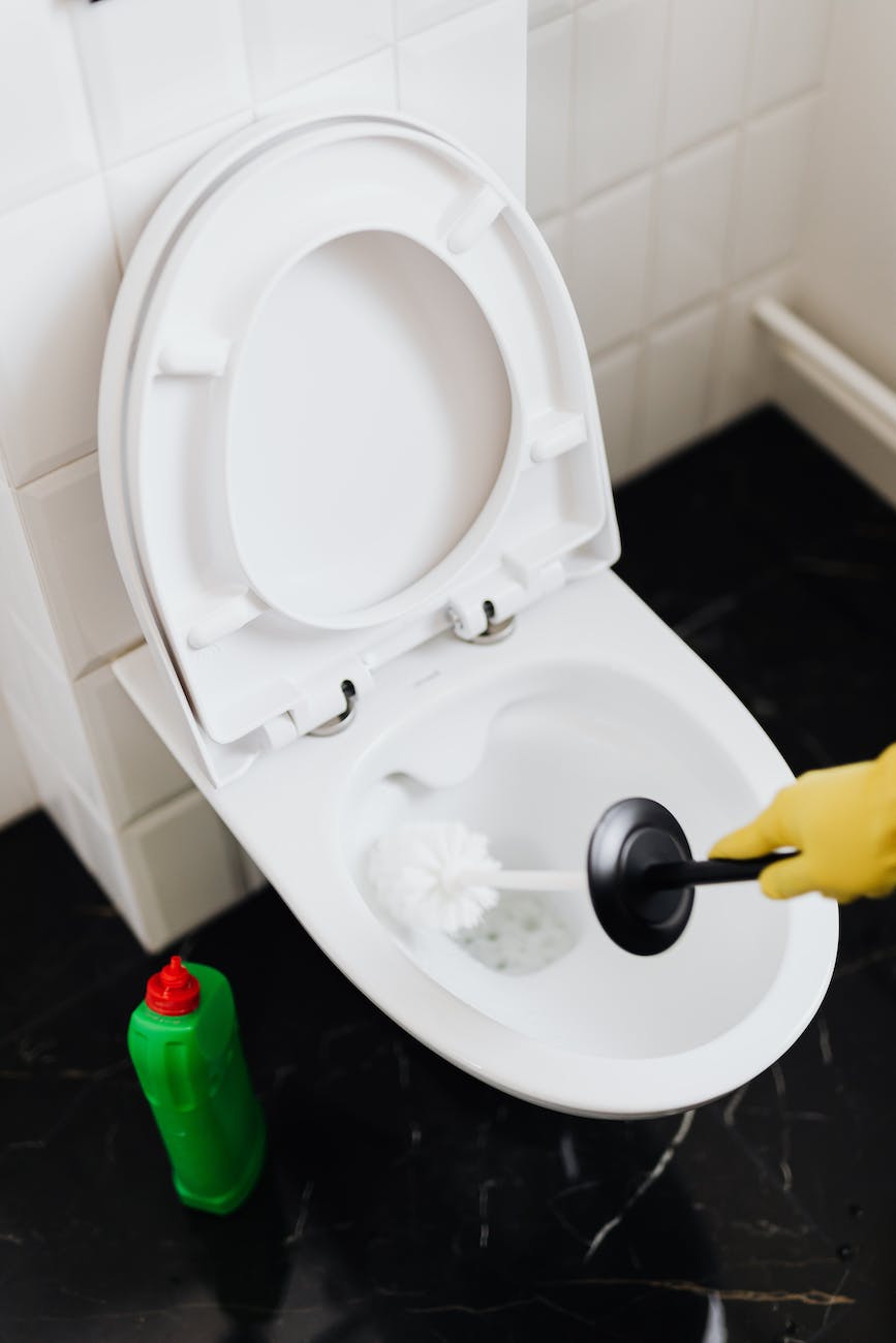 A Guide to Choosing the Best Toilet Brush