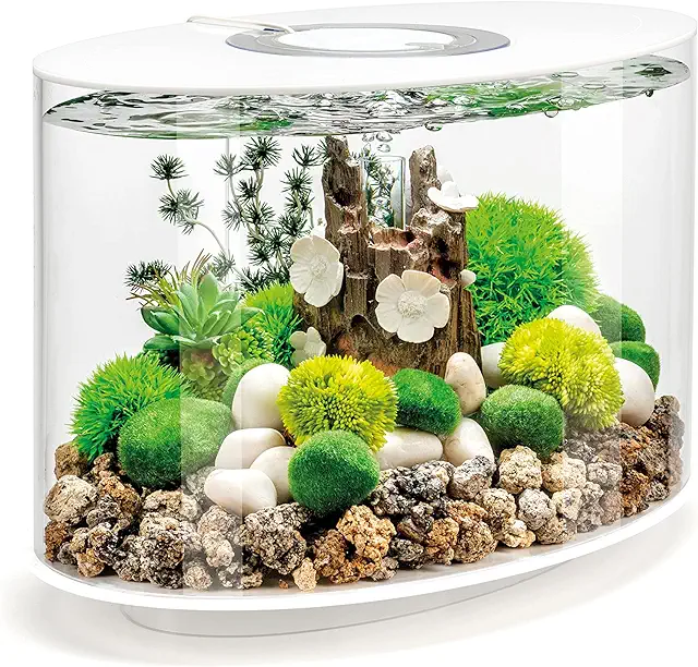 The Best Aquariums For Your Home